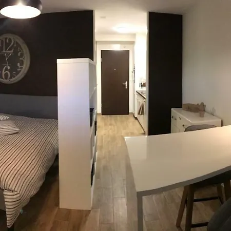 Large Studio Near Epfl And Lausanne City Center Ecublens  Exterior photo