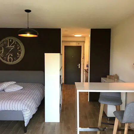 Large Studio Near Epfl And Lausanne City Center Ecublens  Exterior photo