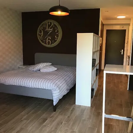 Large Studio Near Epfl And Lausanne City Center Ecublens  Exterior photo