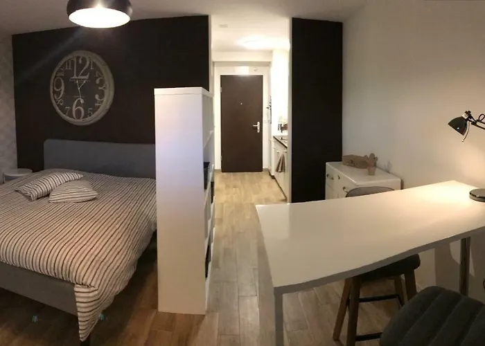 Large Studio Near Epfl And Lausanne City Center