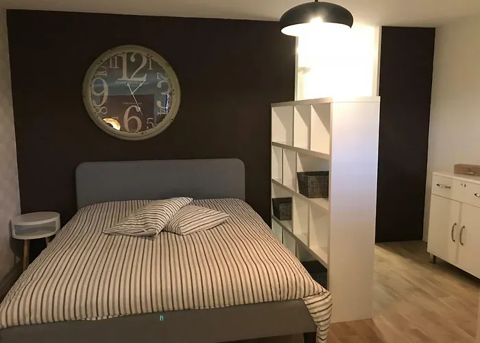 Large Studio Near Epfl And Lausanne City Center