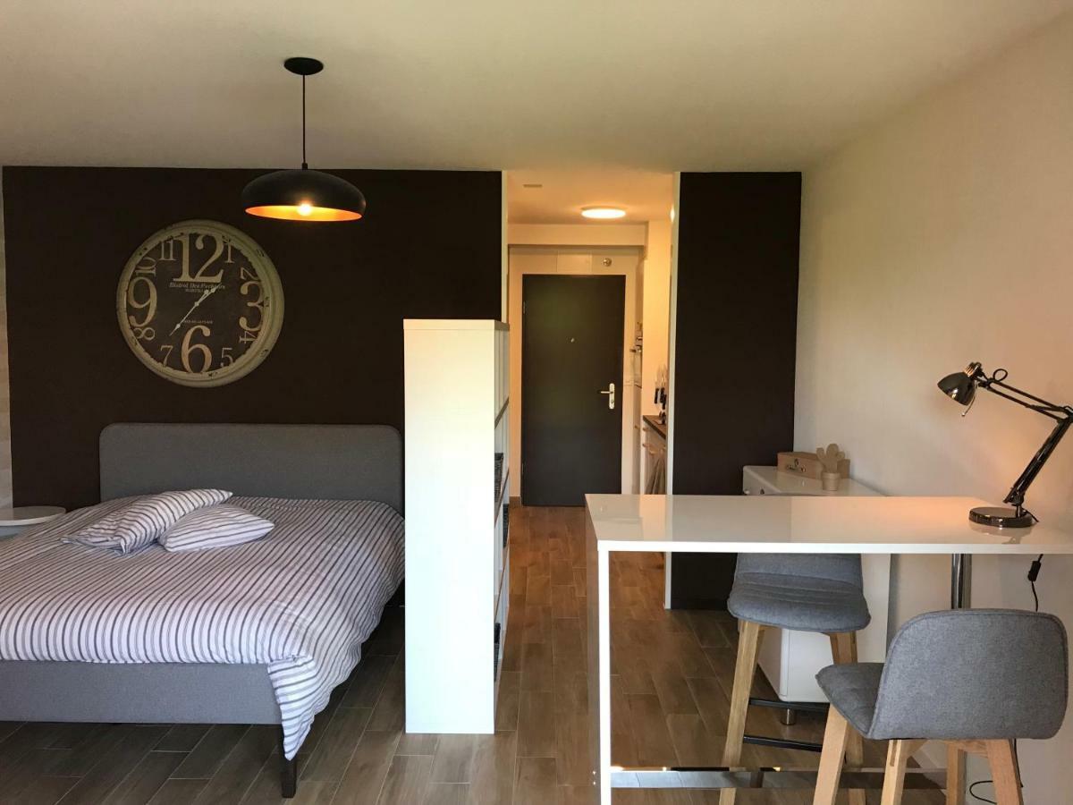 Large Near Epfl And Lausanne Center Apartment *