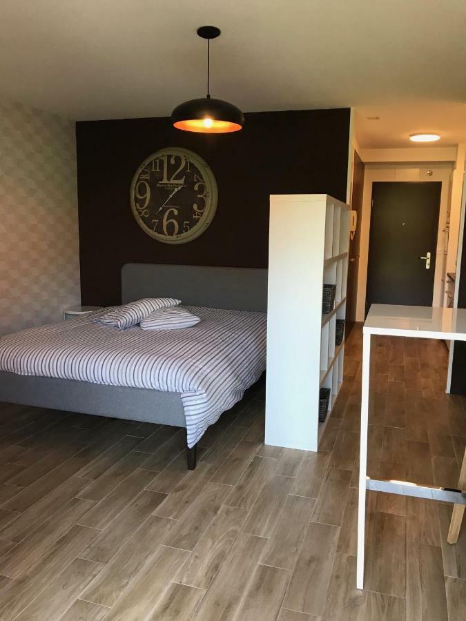 Large Near Epfl And Lausanne Center Apartment Ecublens (Vaud)